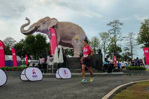 BIB: 
                            <button type="button" onclick="openModal(26528952)" class="btn btn-primary btn-sm float-right btn-popup" data-toggle="modal" data-target=".modal-high-quality">
                        <i class="fas fa-shopping-cart"></i> Add to Cart
                    </button>
                                            <button type="button" onclick="isThisMe(26528952, true)" class="btn btn-success btn-sm float-right btn-popup btn-isme hidden" data-toggle="tooltip" data-placement="bottom" title="นี่คือรูปของคุณใช่ไหม คลิกที่นี่เพื่อเอาเข้าอัลบั้ม">
                        <i class="fas fa-plus"></i> Add to album
                    </button>
                    <button type="button" onclick="isThisMe(26528952, false)" class="btn btn-warning btn-sm float-right btn-popup btn-isnotme hidden">
                        <i class="fas fa-ban"></i> Remove from album
                    </button>